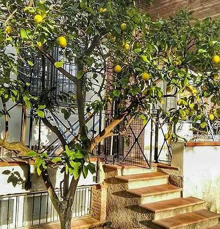 Sedici A B&B 치암피노